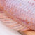 简烹国产冷冻三去彩虹鲷（去鳃去鳞去内脏）生鲜 海鲜水产400-500g 食材优质，烹饪简单第2张高清大图