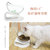 神经猫宠物喂食饮水双碗无 猫咪用品第4张高清大图
