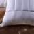 (国美自营)维众家纺双面荞麦枕头第3张高清大图