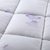 Bolly宝莱国际 全棉活性磨毛羽丝绒冬被 欧式奢华风格(花枝招展 150*210cm 4.5斤)第3张高清大图