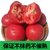 【现摘现发】山东农家沙瓤西红柿新鲜番茄新鲜蔬菜5斤装净重4.5-5斤(自定义 5斤装)第2张高清大图