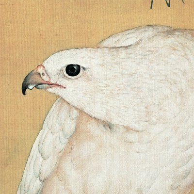 【原作高清复刻】 名画 《白鹘图》 立轴 绢本 清 郎世宁 国画 高清