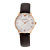 阿玛尼（ARMANI）手表防水 简洁皮带石英表 怀旧经典设计复古女表AR1601第5张高清大图