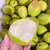 杞农云商 山西特产红香酥梨 甜脆梨子新鲜水果现货香梨(4500g)第3张高清大图