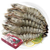 万景活冻黑虎虾（特大号）800g/盒13-15只 净重 国产虾  海鲜 生鲜