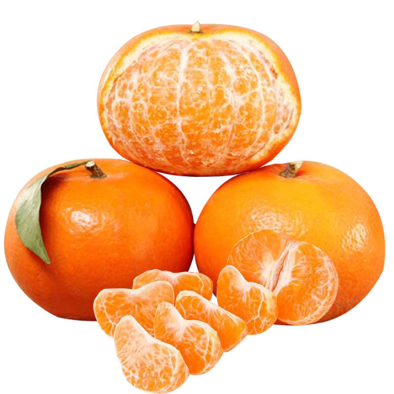 晚熟沃柑云南高山沃柑新鲜大果橘当季桔子产地直发新鲜水果大果3斤