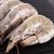 PESCANOVA厄瓜多尔白虾50/60 2kg第2张高清大图