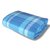 车德克DK-6200慕游者系列绒面铝膜防潮户外野餐垫（浅蓝色）（200*200）第5张高清大图