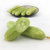 【YDEG】 海阳 原产白玉黄瓜 2250g装 新鲜加冰包邮第4张高清大图