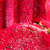 京觅国产树上熟红心火龙果 4粒装 单果400-500g 新生鲜水果 国美超市甄选第5张高清大图