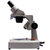 凤凰光学显微镜 凤凰XT-III-40X 体视显微镜连续变倍变焦 环形LED灯高第5张高清大图