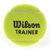 威尔胜无压力训练网球 正品威尔逊桶装网球 练习网球 72个WRT131200 国美超市甄选第5张高清大图