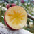 维吉达尼 阿克苏冰糖心苹果8斤装 香甜酥脆(80-85mm)第3张高清大图