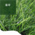 亿景鸿基 人造草坪 室外绿化景观装饰幼儿园高尔夫草坪加密仿真草坪四色假草坪 YCP01(黄色 4米*25米)第4张高清大图