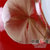 花瓶摆件德化陶瓷开业*商务工艺礼品家居装饰客厅办公摆件中国龙瓷23cm天地方圆(红结晶)JJY0088第5张高清大图