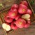 冠町青怡苹果红色礼盒10-12粒装  新鲜采摘 口感脆甜第4张高清大图