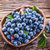 【花青宝】新鲜蓝莓非野生水果125g6盒第3张高清大图