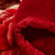 巢居良品 新款加厚超柔双层拉舍尔毛毯 毯子 毛巾被 床上用品(红色经典  160*200CM4.8斤)第4张高清大图
