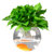 水培植物玻璃生态鱼缸绿萝花盆办公桌面加厚大号鱼缸透明器皿花瓶(灰色)第5张高清大图