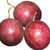 杞农云商 鸡蛋果百香果鲜果 新鲜水果产地直供 单果约50g(中果12个)第3张高清大图