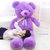 紫熊 毛绒玩具泰迪熊 薰衣草小熊公仔布娃娃(丝带款 40厘米)第4张高清大图