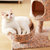 福丸小型猫窝猫咪房子米黄色塑料13238 国美超市甄选第3张高清大图