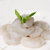 禧美海产冷冻翡翠生虾仁1kg 135-160只 海鲜水产第6张高清大图