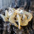 大洋世家活冻白虾1kg 40-50只(国产）盒装 对虾 基围虾 烧烤 火锅食材 海鲜水产第3张高清大图