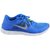 耐克（NIKE）510642-401男子跑步鞋（飞翔蓝/反光银）（42.5）第2张高清大图