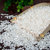 KOKO泰国糯米1kg 进口米 五谷杂粮 大米伴侣 糙米第4张高清大图