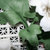 中国龙瓷 开业*工艺商务礼品家居装饰办公客厅瓷器摆件德化陶瓷牡丹壁挂(小)白LC0122第4张高清大图