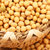 南稻北麦黄豆1.8kg 大豆东北五谷杂粮粗粮可发豆芽打豆浆罐装大米伴侣第4张高清大图
