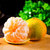 鲜果突击队云南橘子蜜橘9斤装新鲜水果蜜桔孕妇水果橙(蜜桔 9斤装大果（65-75mm）)第4张高清大图