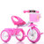 beruty儿童三轮车 2-3岁以上小孩子自行车 男女宝宝脚踏儿童车(C款蓝色编织框)第2张高清大图