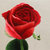 千莹 重工单面绣『不变的爱 』红玫瑰花 装饰画 工艺礼品第5张高清大图
