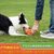 宠易生宠物玩具大号乳胶橄榄球塑料13669 国美超市甄选第4张高清大图