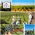吉卡斯（jecups）巴洛特莫斯卡托 澳大利亚原瓶进口甜白葡萄酒 750ml(红色 六只装)第3张高清大图
