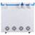 雪花 BCD-169S 169升 冷藏冷冻双温冷柜 商用卧式冰柜 白色第5张高清大图