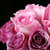 花港码头 鲜花超市 单枝玫瑰 选用云南A级鲜花花材 满59元包邮(苏醒粉色)第4张高清大图