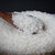 五丰大米精选产地珍珠米圆粒米10kg 国美超市甄选第3张高清大图