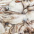 岛礼 八爪鱼 鲜活 500g 章鱼 味道鲜美 野生 天然海鲜 大连特产【大渔场】第4张高清大图
