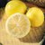 静奶奶四川安岳黄柠檬1斤装单果180-300g 产地直发 应季鲜果第5张高清大图