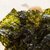 韩国进口ZEK橄榄油烤海苔12g第4张高清大图