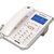 摩托罗拉(Motorola) CT203C 有线 电话机 白色 商务 大屏第2张高清大图