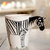 豪峰 创意陶瓷杯马克杯咖啡杯牛奶杯早餐杯卡通可爱水杯带勺(斑马3D杯带勺)第4张高清大图