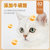 亿迪猫粮幼猫专用猫粮自营2kg高蛋白美毛零食 国美超市甄选第5张高清大图