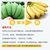 广西新鲜小米蕉10斤酸甜当季小香蕉水果小米焦banana拍2发10斤批发(10斤装（净果9斤） 小米蕉)第2张高清大图