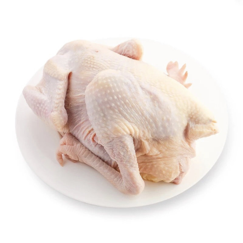 旺鲜汪产地直发生态农户喂养2年老母鸡净重2斤2肉质鲜美