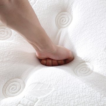 天丝绒乳胶椰棕床垫1.8米1.5米静音环保床垫软硬适中席梦思8006(床垫)