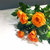 【鲜花猫】花艺师混搭设计花束鲜花基地直发鲜花批发(花艺师体验款B)第3张高清大图